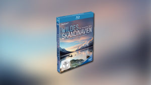Wildes Skandinavien (Blu-ray)