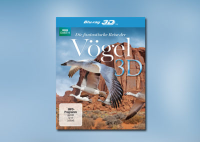 Die fantastische Reise der Vögel 3D
