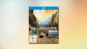 Yellowstone – Legendäre Wildnis