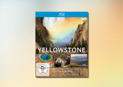 Yellowstone – Legendäre Wildnis